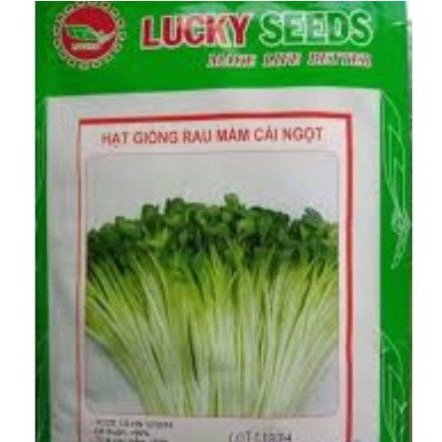 HAT MẦM RAU CẢI NGỌT