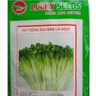Hat mầm rau cải ngọt