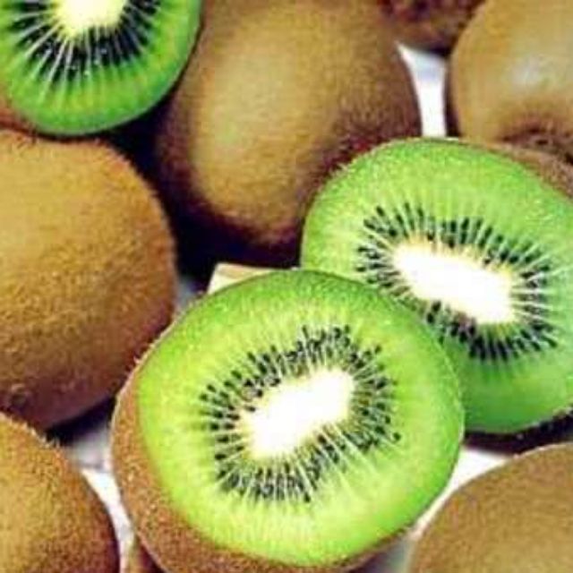Cây giống kiwi