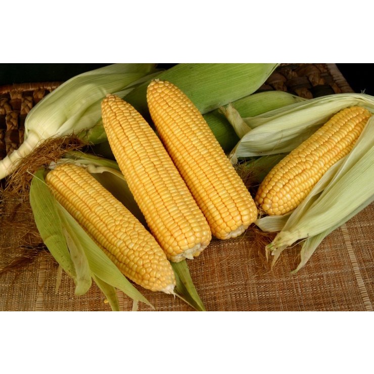 Ngô Ngọt tươi ngon sạch - 1 bắp - giao siêu tốc 1h