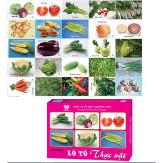 Bộ thẻ học các chủ đề cho bé kèm tiếng Anh (bộ 25 thẻ)