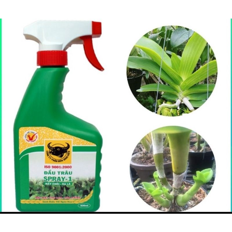 Bộ 3 chai phân bón pha sẵn tiện dụng Spray 1 2 3