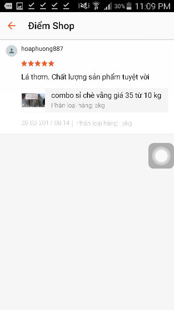 Chè vằng rừng  NGHỆ AN