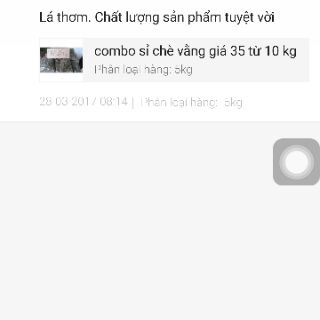 Chè vằng rừng (chè vằng sẻ) NGHỆ AN