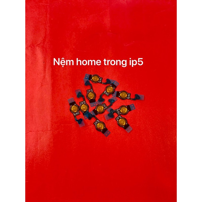 Nệm home 5G