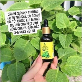 DẦU HÚNG CHANH MINION