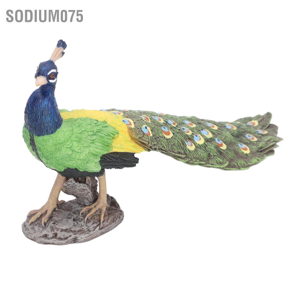 Có thể bán buôn Con công đẹp Trang trí nhà sống động Mô hình vật Tượng con nhân tạo để làm quà tặng Sodium075 Hàng giao ngay