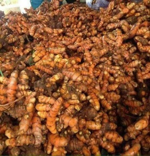 Tinh bột nghệ nhà làm