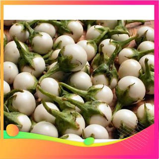 Hạt giống cà pháo trắng f1 - 30 hạt vietgar