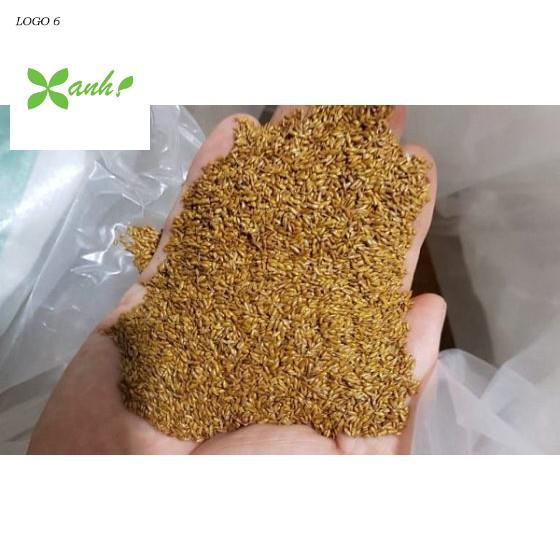 100 - HẠT GIỐNG CỎ NHUNG NHẬT