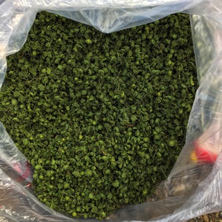 Nụ hoa bao tử tam thất