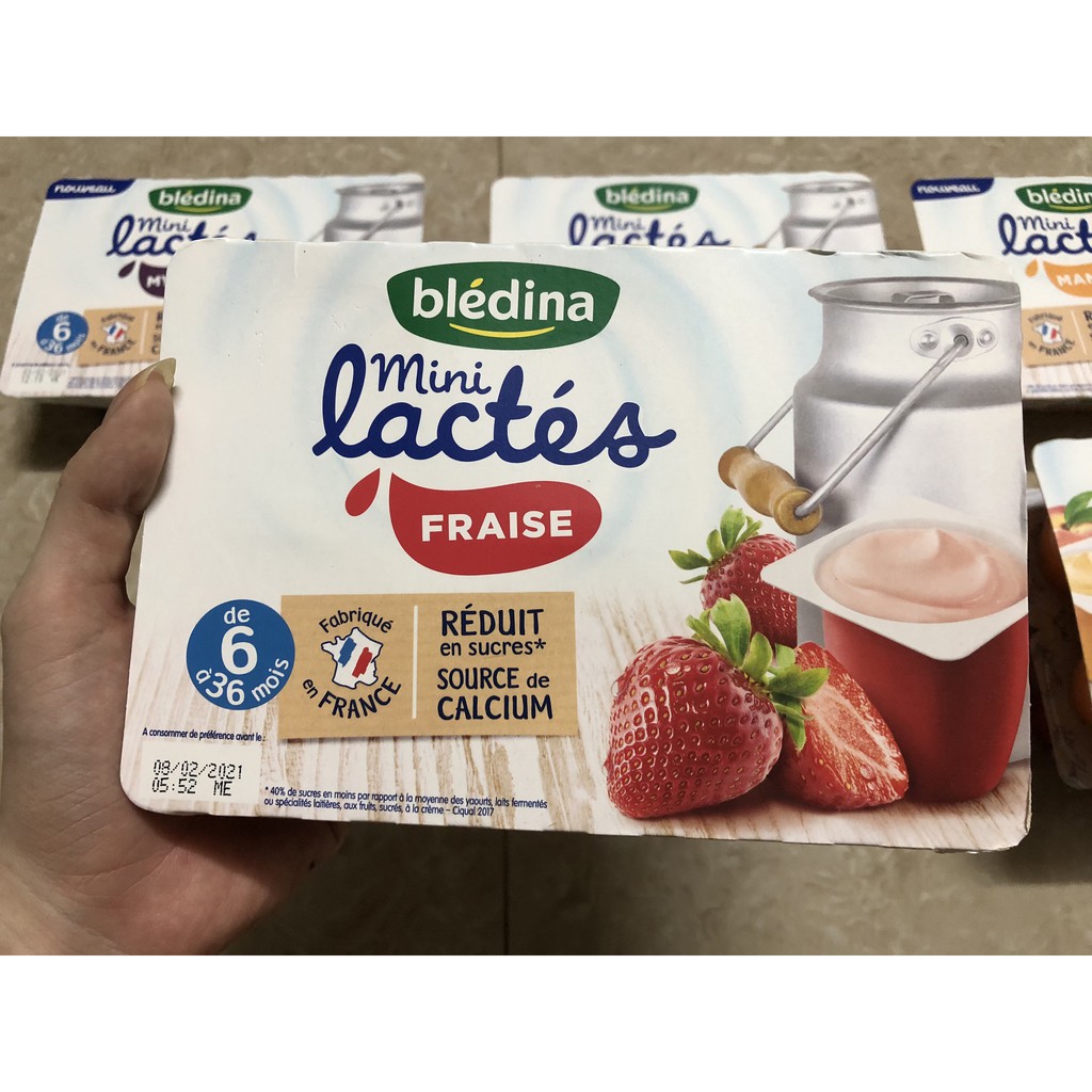 Sữa chua nguội Bledina của Pháp nhiều vị lốc 6 hộp Date T12/2020