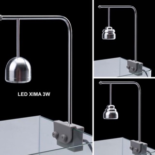 Đèn led Xinma Bể cá Thuỷ sinh