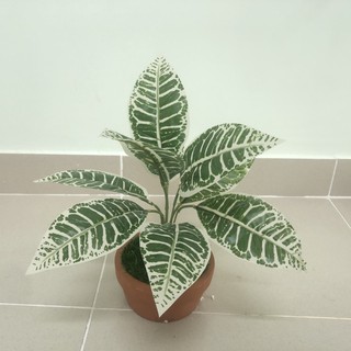 Cây giả trang trí  - Cành lá giá - YY-35 (chưa bao gồm chậu)