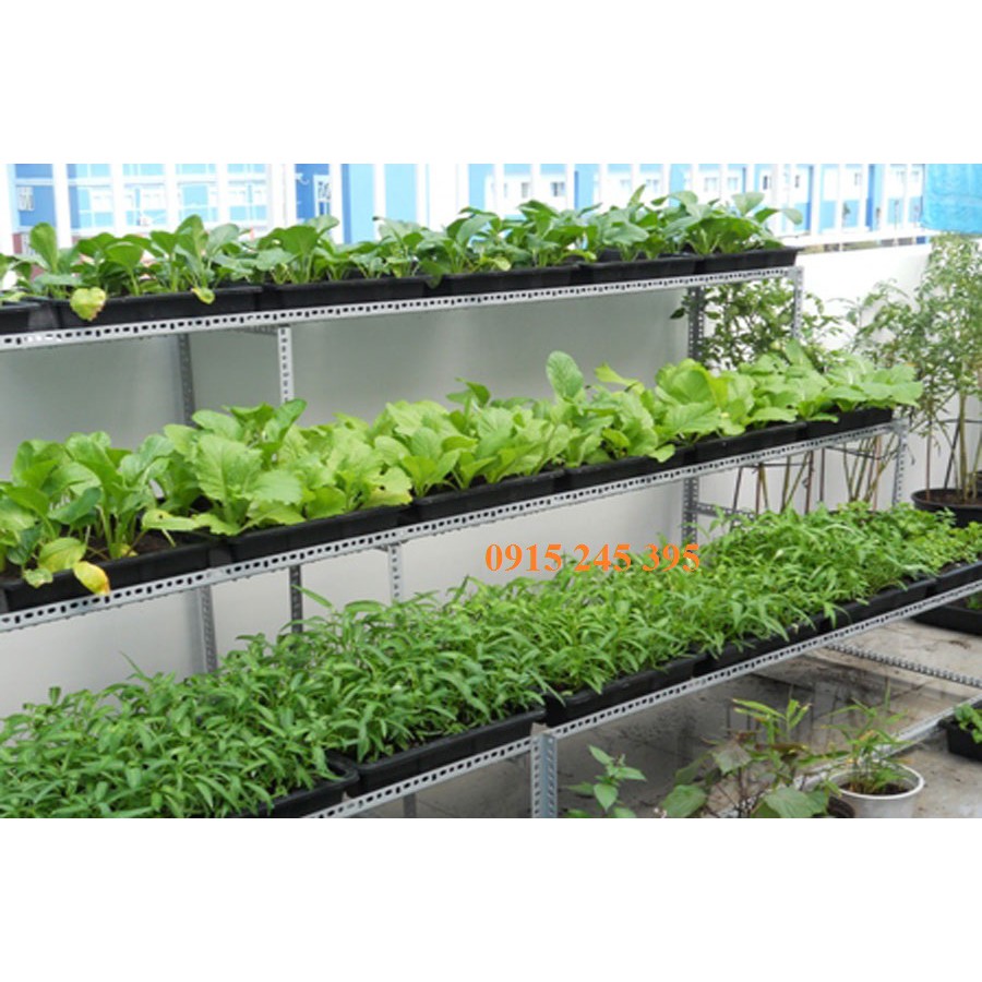 Cây sắt V lỗ đa năng dài 2m làm giàn mướp, giàn bầu bí, giàn hoa, làm khung nhà lưới trồng rau