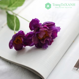 Hoa Lụa - Lan Tường Loại 1 Giống Thật