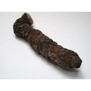 500g Nhục Thung Dung Đen