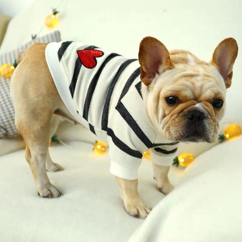 ✌✣Fadou Pug chó con nhỏ Quần áo bông Teddy Sữa Mèo thú cưng Bichon mùa thu Hiromi xuân hè