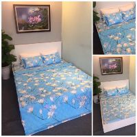 Chăn Ga gối cotton poly