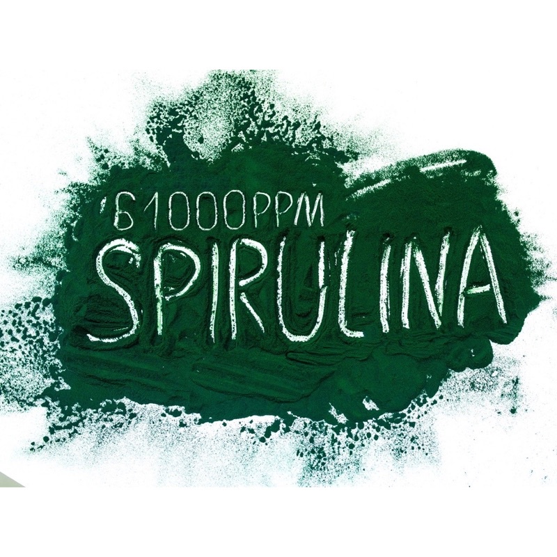 Mặt nạ Pudding tảo Be'Balance G.Classic Rubrulina Mask 70g