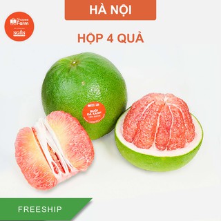 [HN] Hộp 4 Quả Bưởi Vip Da Xanh Vườn Lão 20 Năm Tuổi - Shopeefarm