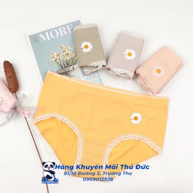 Set 4 quần lót hoa cúc vải mềm mại thông thoáng freesize dưới 60kg