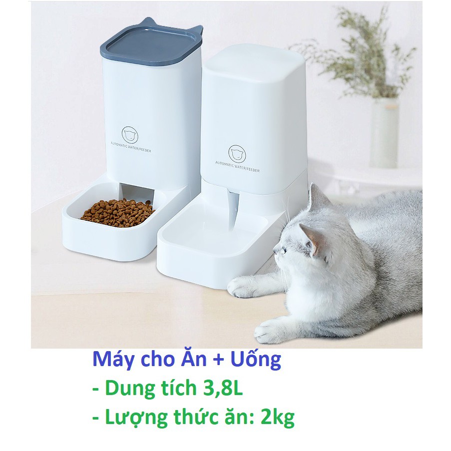 GV - Máy cho chó mèo ăn uống bán tự động dành cho chó mèo lớn Loại có bồn chứa 3,8 lít- Bộ Bát cho chó mèo ăn và uống/