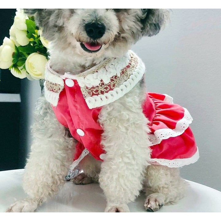 Váy cho chó mèo Váy cộc tay Quần áo thú cưng - CutePets