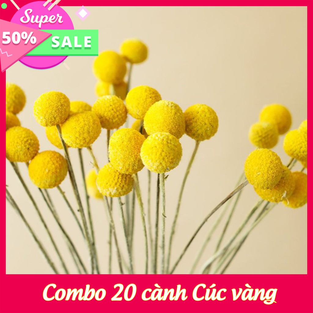 Combo 20 cành Cúc vàng 💥XẢ KHO💥 cành cúc nút áo thích hợp trang trí phòng khách, phòng làm việc