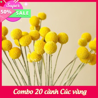 Cành Cúc vàng 💥XẢ KHO💥 cành cúc nút áo thích hợp trang trí phòng khách, phòng làm việc