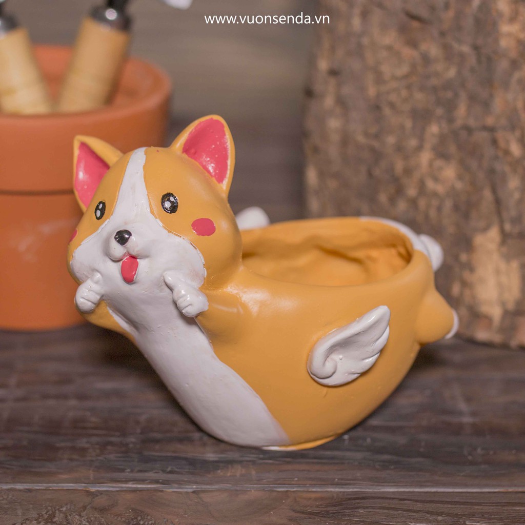 Chậu corgi bay (nhựa cứng) - Vườn sen đá