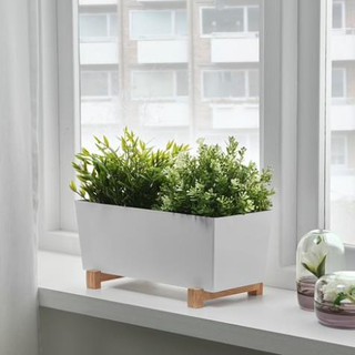 Chậu trồng cây bittergurka ikea chính hãng