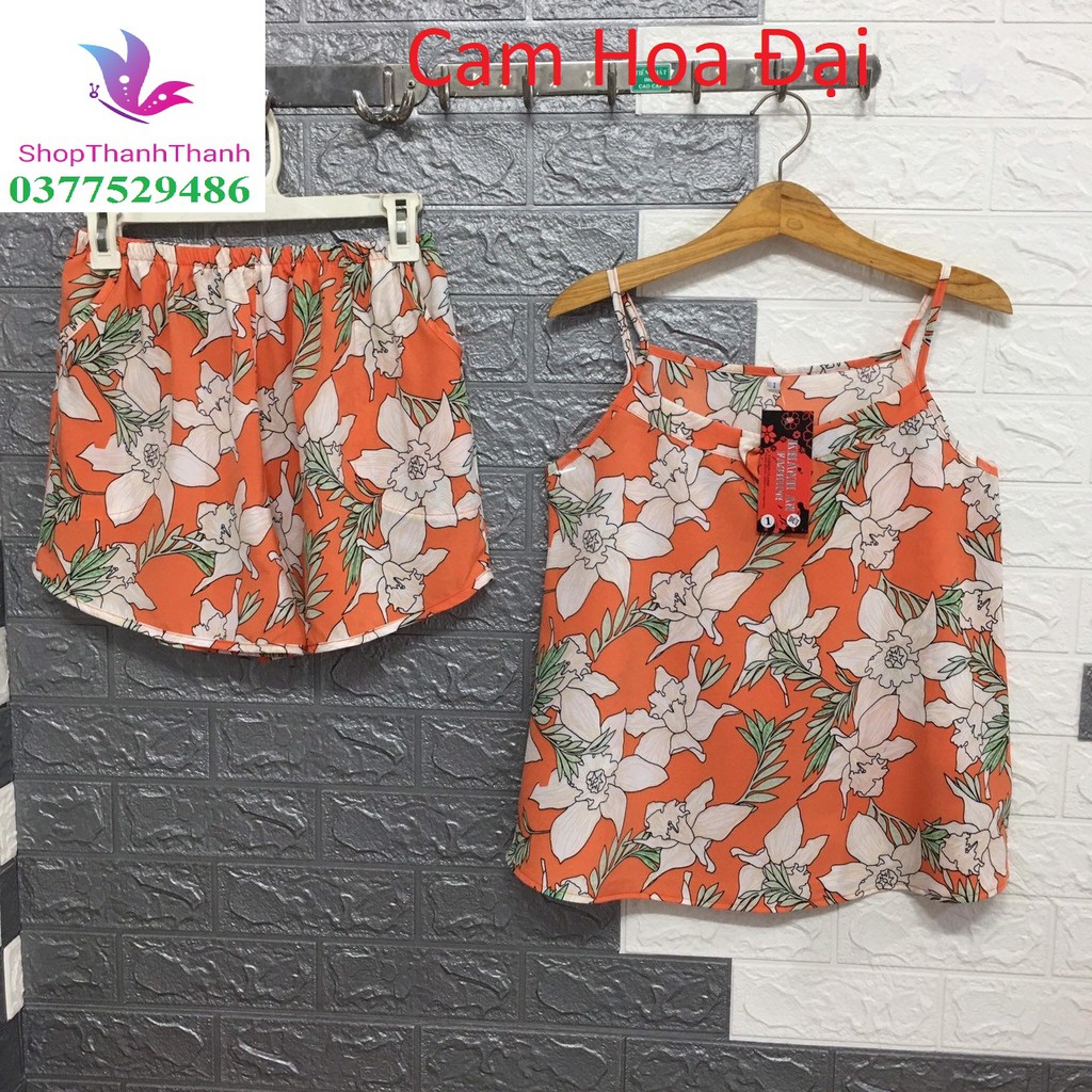 2 DÂY thắt NƠ Bộ Đùi Đồ bộ mặc nhà Cao cấp Cotton Trơn Big Size