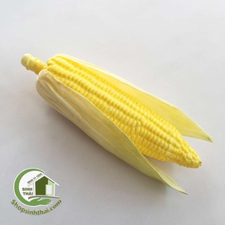 Trái bắp giả - bắp ngô mỹ màu vàng bằng cao su dẻo