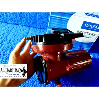 Máy sủi Oxy xài bình 12v Hailea ACO 006