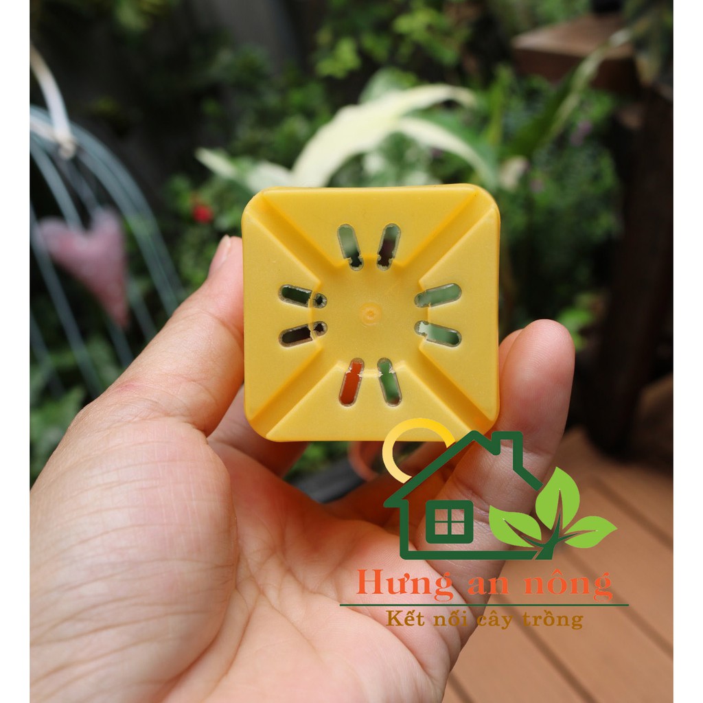CVPPM5CM - 50/100 chậu vuông nhựa PP trồng sen đá bonsai xương rồng có 7 màu chọn - size 5x5cm