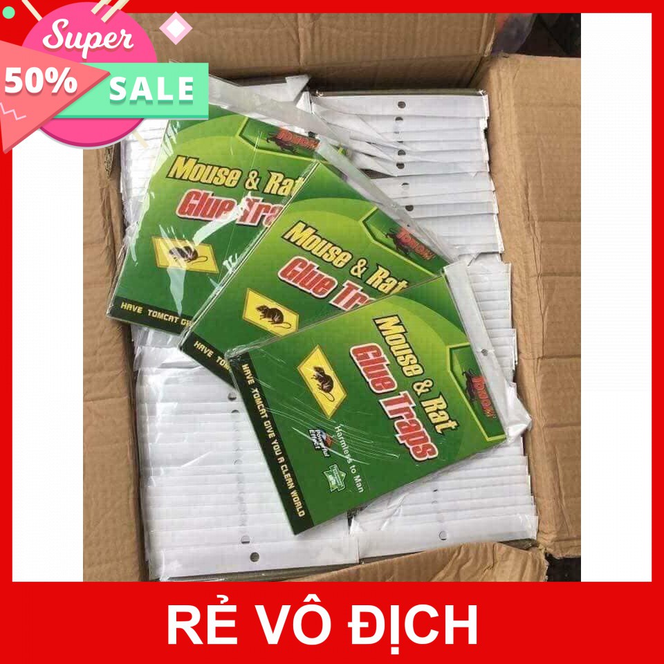 [Hot]-KEO DÁN CHUỘT SIÊU DÍNH