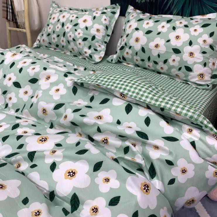 set chăn ga gối Cotton Poly