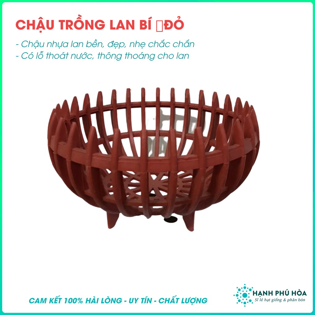 Bộ 5 Chậu Lan Nhựa Bí  - Trồng Hoa Kiểng- Đỏ