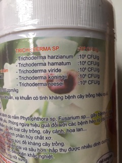 Chế phẩm vi sinh vật TKS -Trichoderma (1kg)