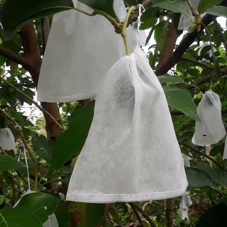 100 túi  bọc na, bọc ổi kích thước 18x20