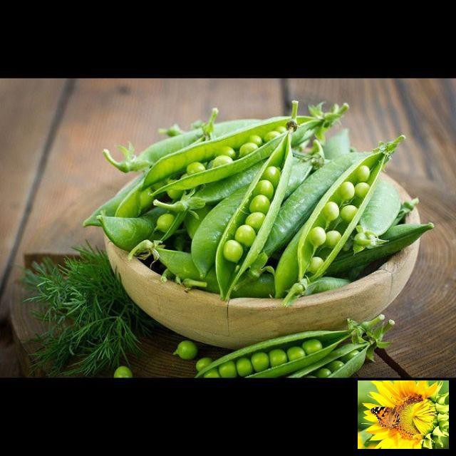 54b Gói 10 Hạt Giống Đậu Hà Lan (Pisum sativum)