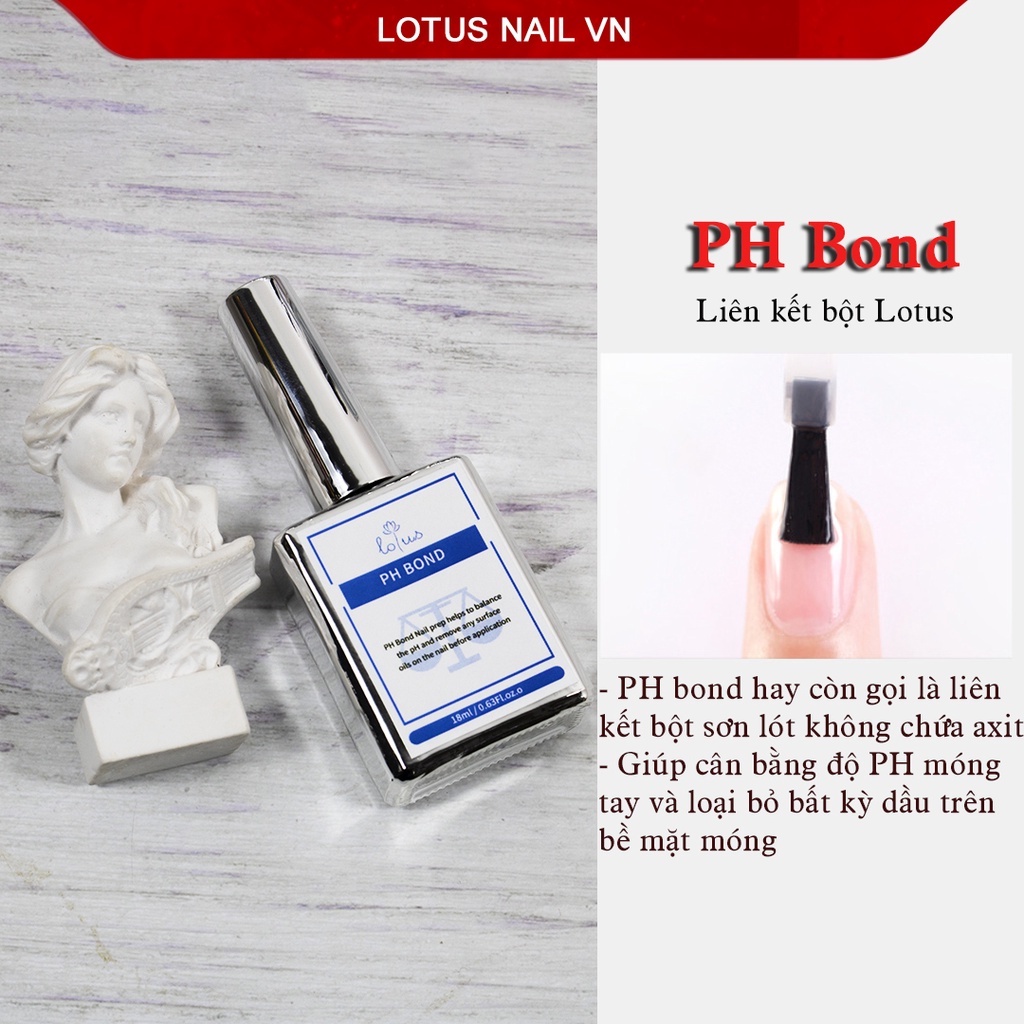 Liên kết bột ( Ph bond ) Lotus chai 18ml