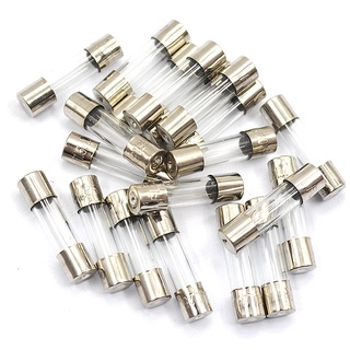 Cầu chì 5x20mm (10 cái)