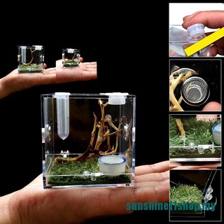 Hộp acrylic nuôi bò sát/côn trùng/bò sát/côn trùng