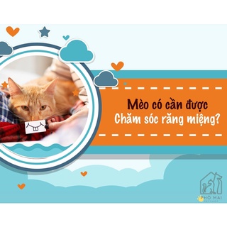 Xịt Vệ Sinh Răng Miệng Cho Mèo Lee Webster