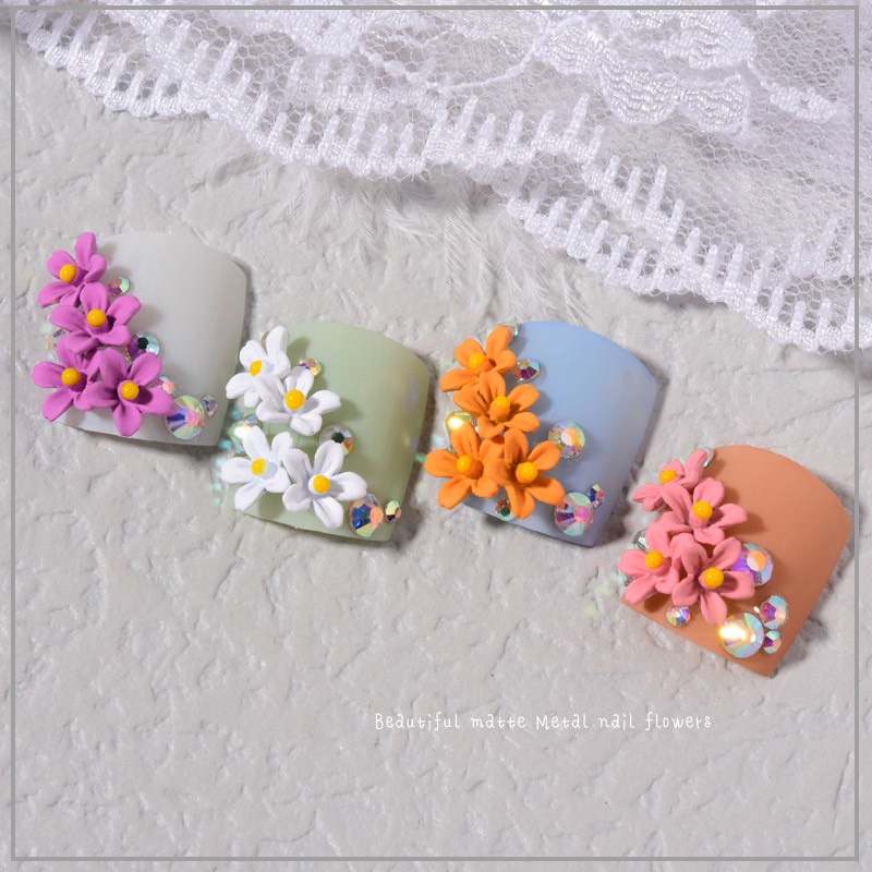 Set hoa 5 cánh mix màu