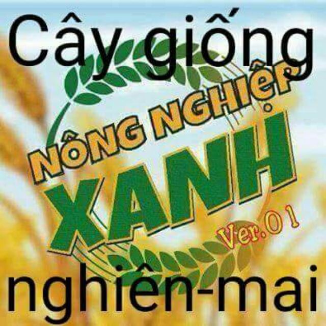 Cây Trồng Học Viện Nông Nghiệp