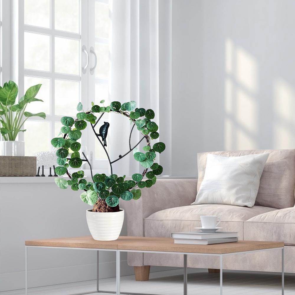 Giá Đỡ Cây Thân Leo Bằng Kim Loại Bền Chống Rỉ Sét Cổ Điển