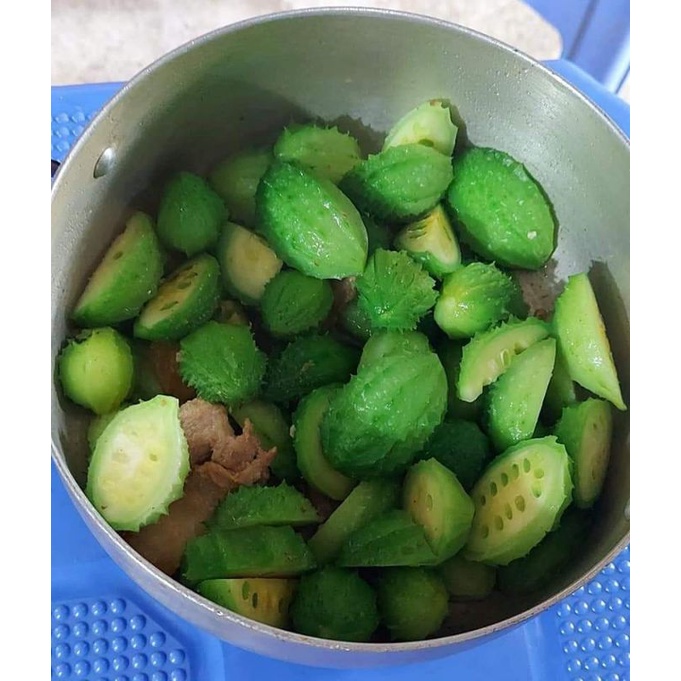 Hạt Giống Mướp Đắng Rừng 20 Hạt